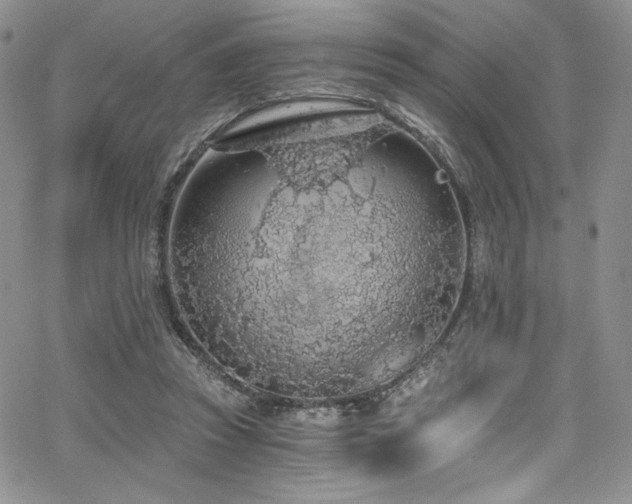 X0000068310353200604211210