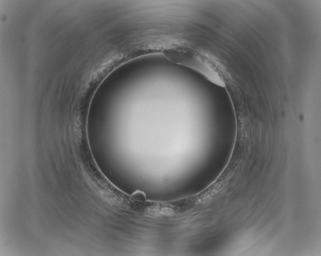 X0000068310354200604211210