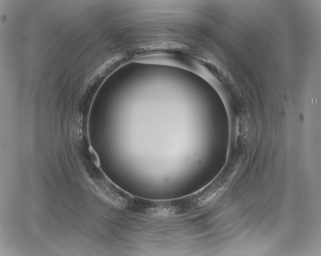 X0000068310356200604211210