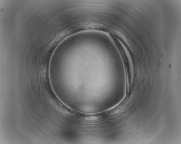 X0000068310357200604211210