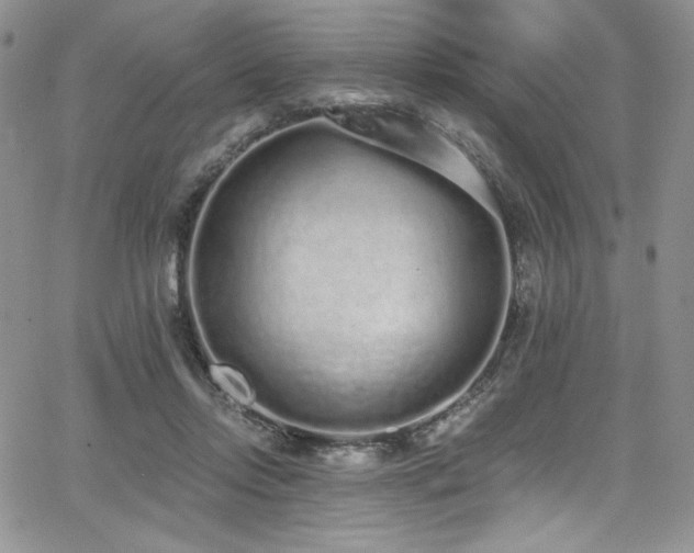 X0000068310358200604211210