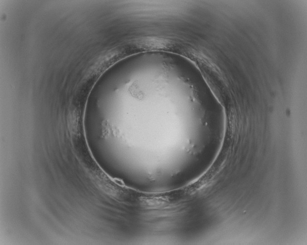 X0000068310359200604211210