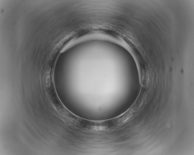 X0000068310360200604211210