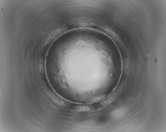 X0000068310361200604211210