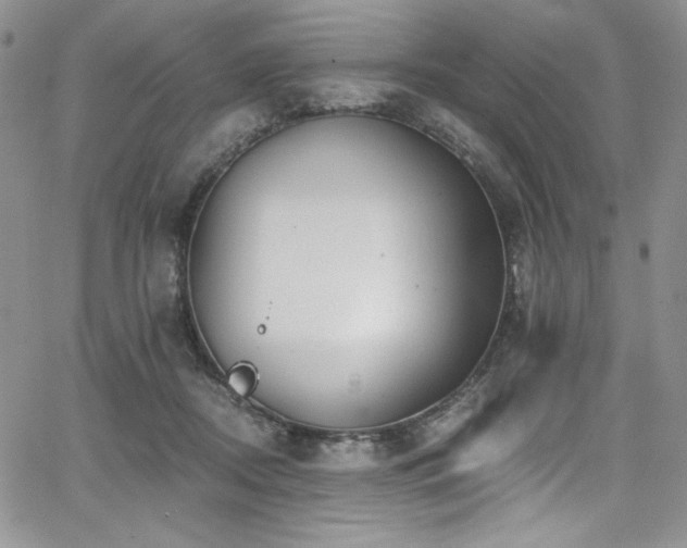 X0000068310362200604211210