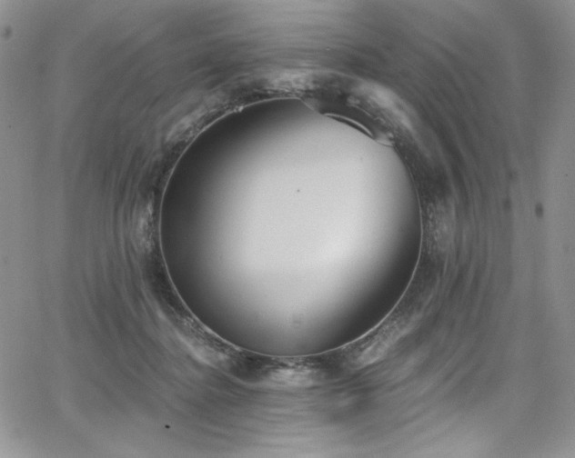 X0000068310364200604211210