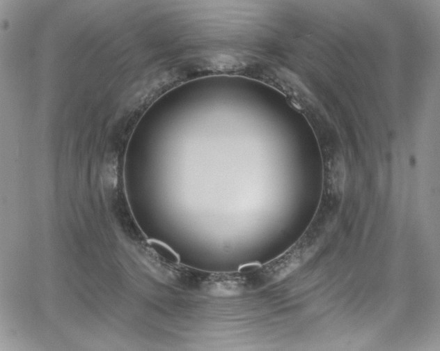 X0000068310368200604211210