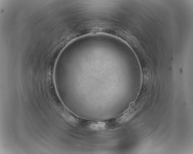 X0000068310369200604211210