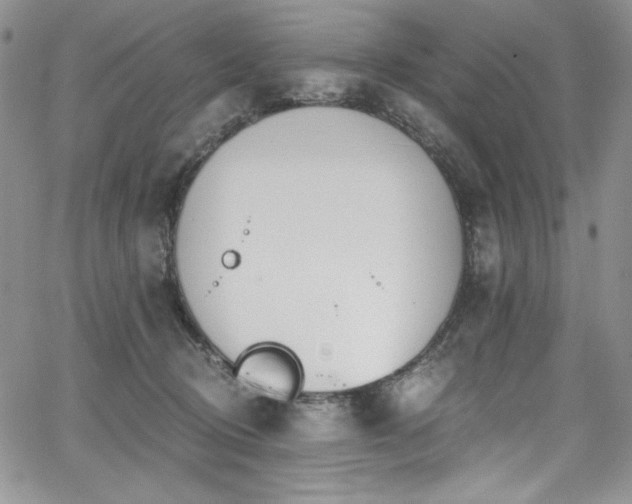 X0000068310370200604211210