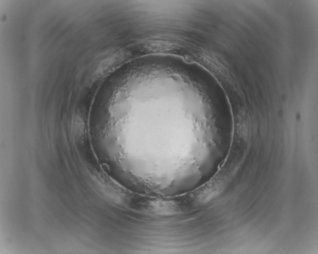 X0000068310371200604211210