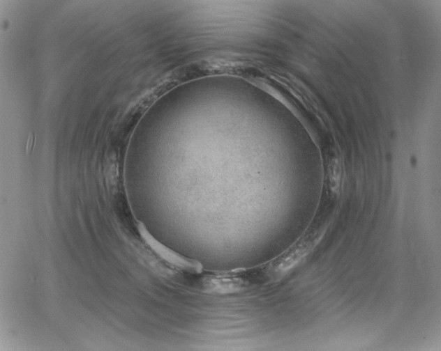 X0000068310372200604211210