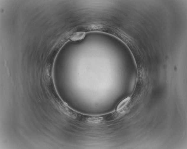 X0000068310373200604211210