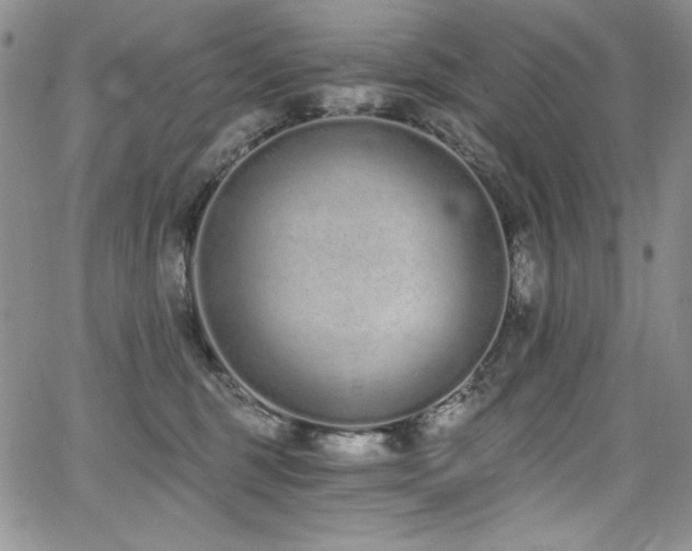 X0000068310375200604211210