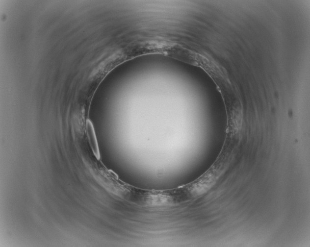 X0000068310376200604211210