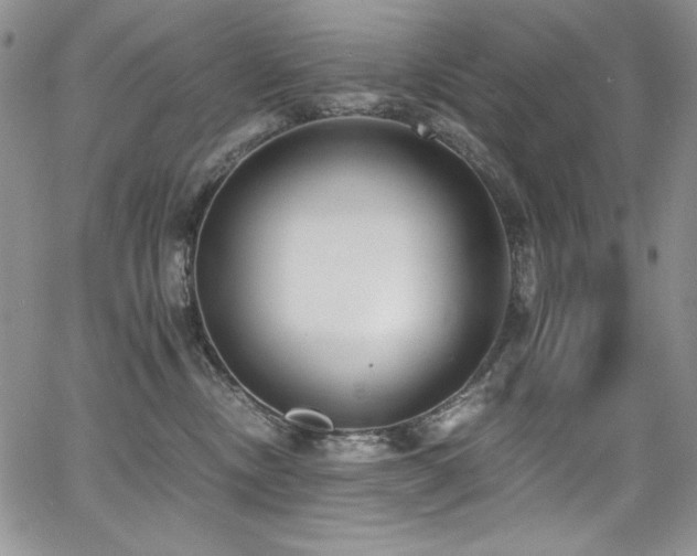 X0000068310378200604211210