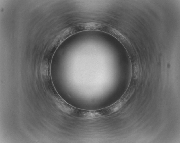 X0000068310379200604211210