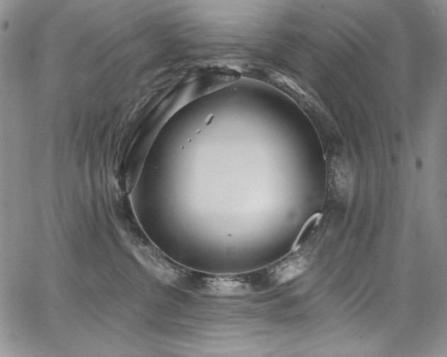 X0000068310380200604211210