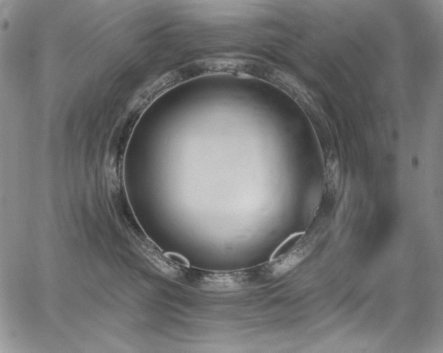 X0000068310381200604211210