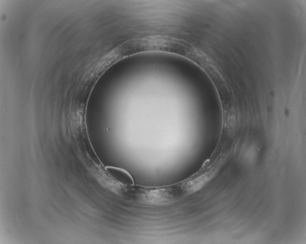 X0000068310382200604211210