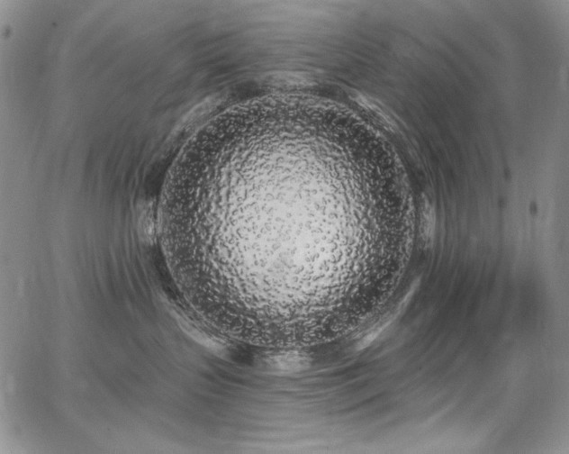 X0000068310383200604211210