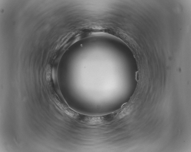 X0000068310384200604211210