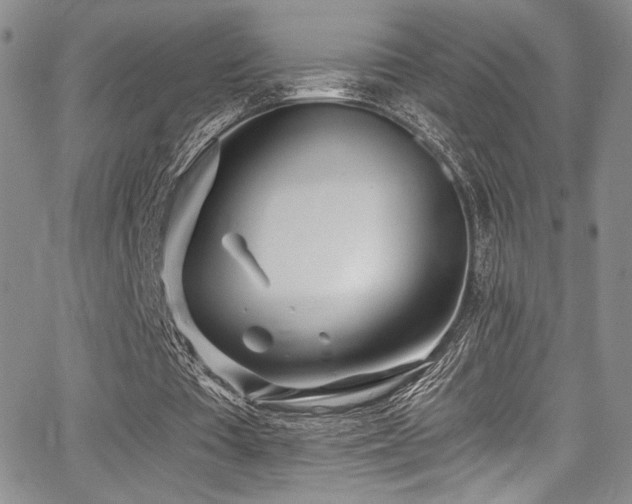 X0000068310385200604211209