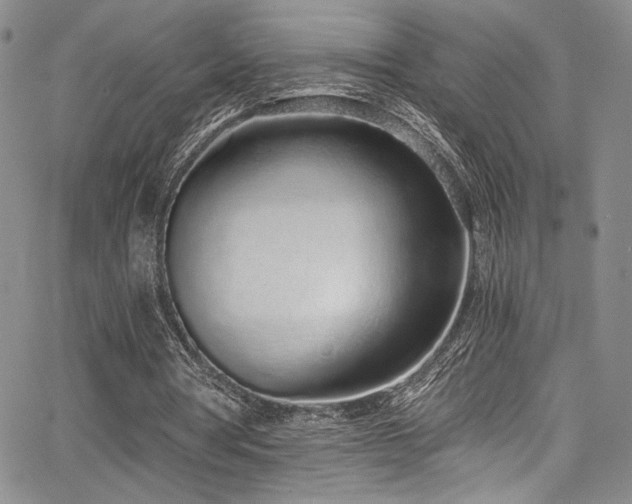 X0000068310386200604211209