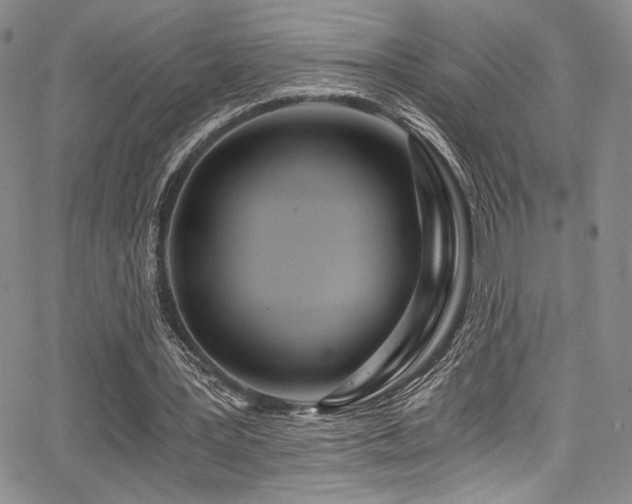 X0000068310387200604211209