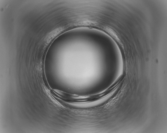 X0000068310389200604211209