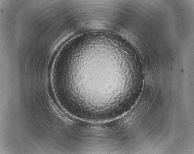 X0000068310390200604211209