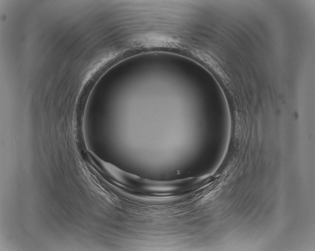 X0000068310391200604211209