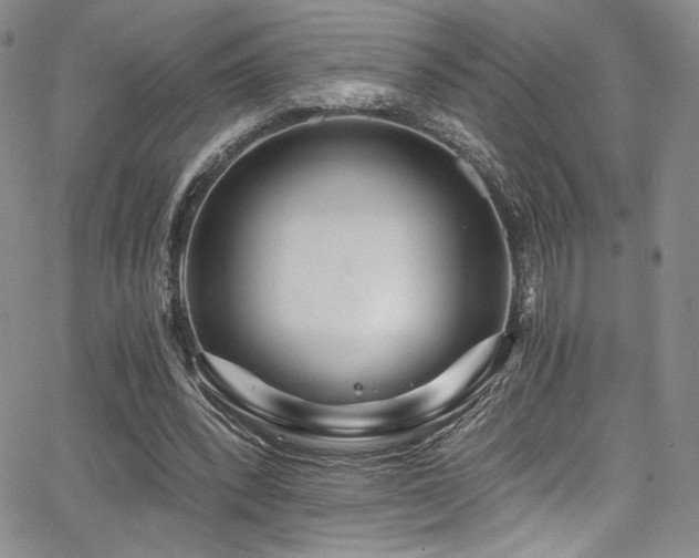 X0000068310392200604211209