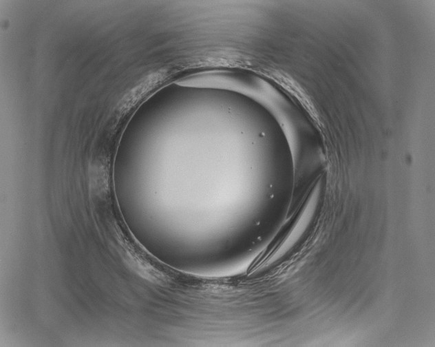 X0000068310393200604211209