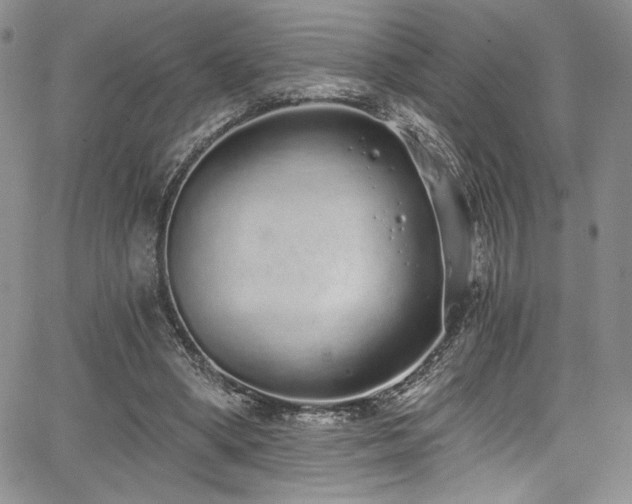 X0000068310394200604211209