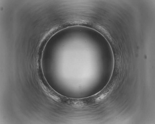 X0000068310395200604211209