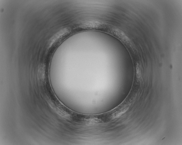 X0000068310396200604211209