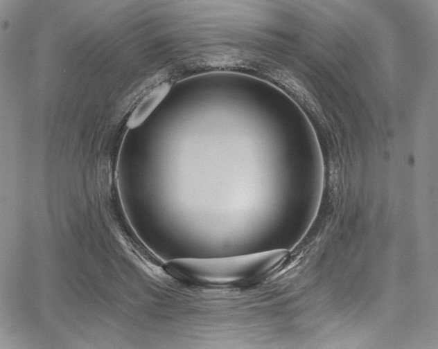 X0000068310397200604211209