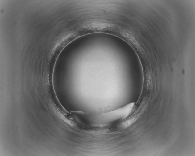 X0000068310399200604211209