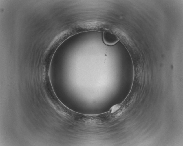 X0000068310400200604211209