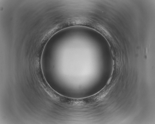 X0000068310401200604211209