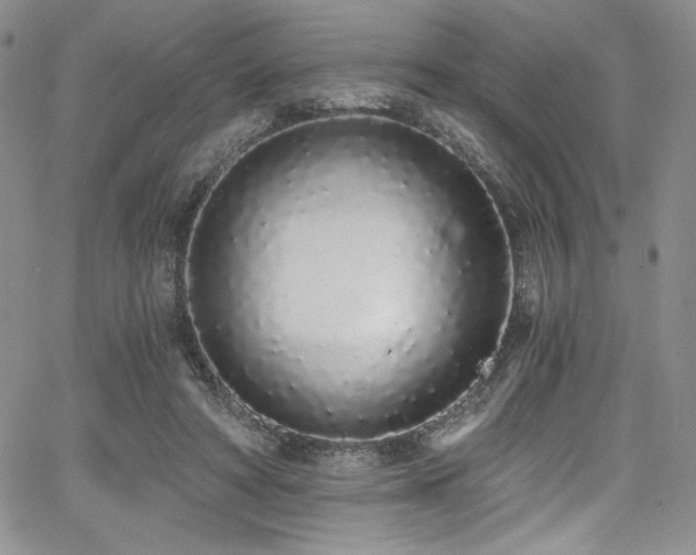 X0000068310402200604211209