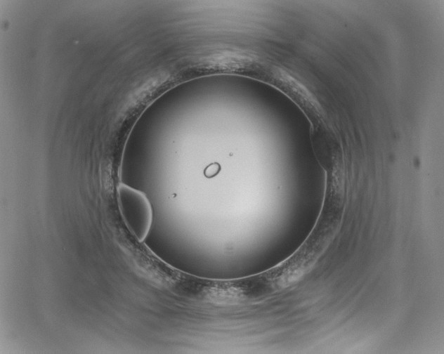 X0000068310403200604211209