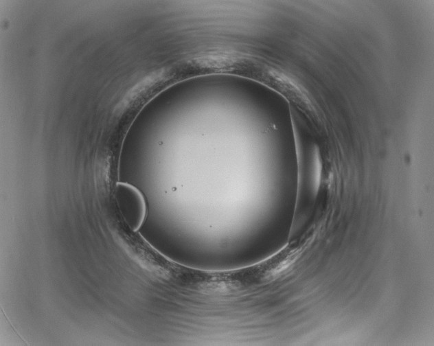 X0000068310404200604211209