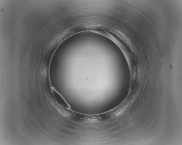 X0000068310405200604211209