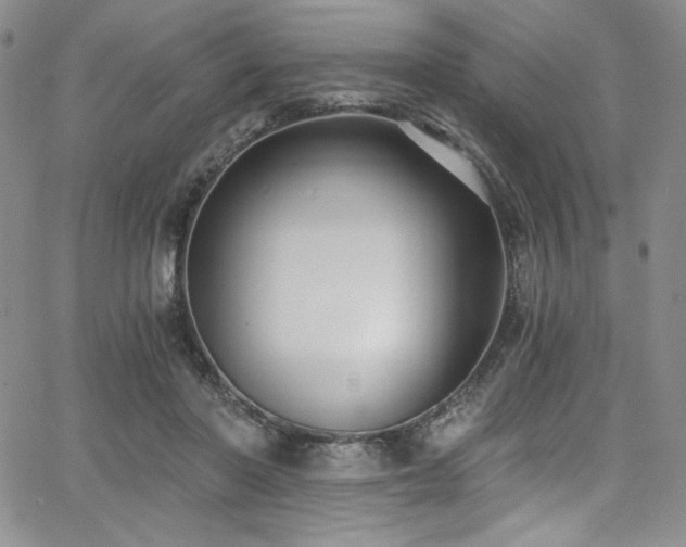 X0000068310406200604211209