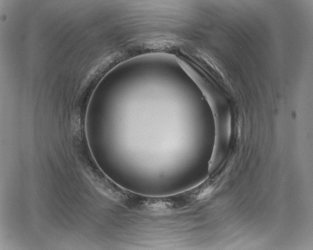 X0000068310407200604211209