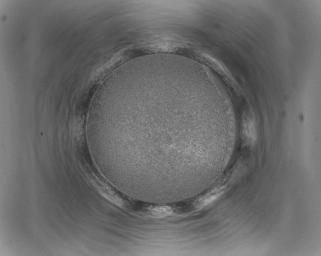 X0000068310409200604211209