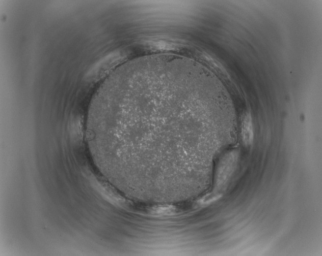 X0000068310410200604211209