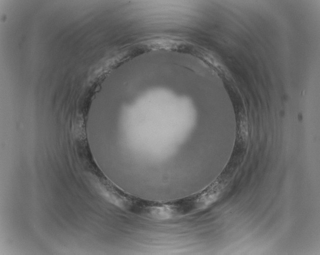 X0000068310411200604211209