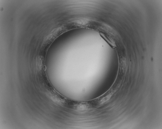 X0000068310412200604211209